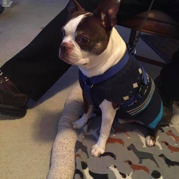 Meet your Posher, Edward - Picture 1 of 1